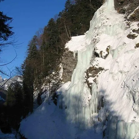 Gemse Hotel Weisstannen