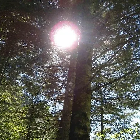 葛木思酒店 * Weisstannen