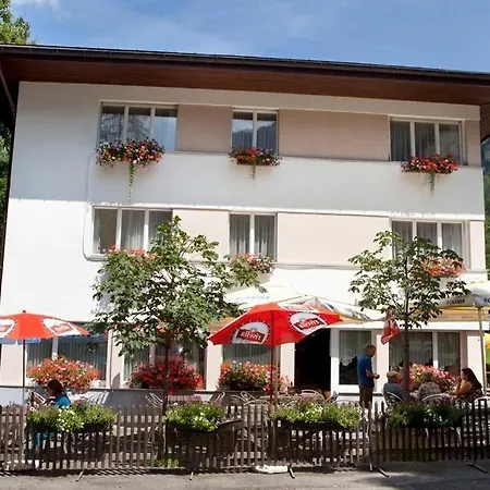 Gemse Weisstannen